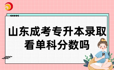 山東成考專升本錄取看單科分?jǐn)?shù)嗎